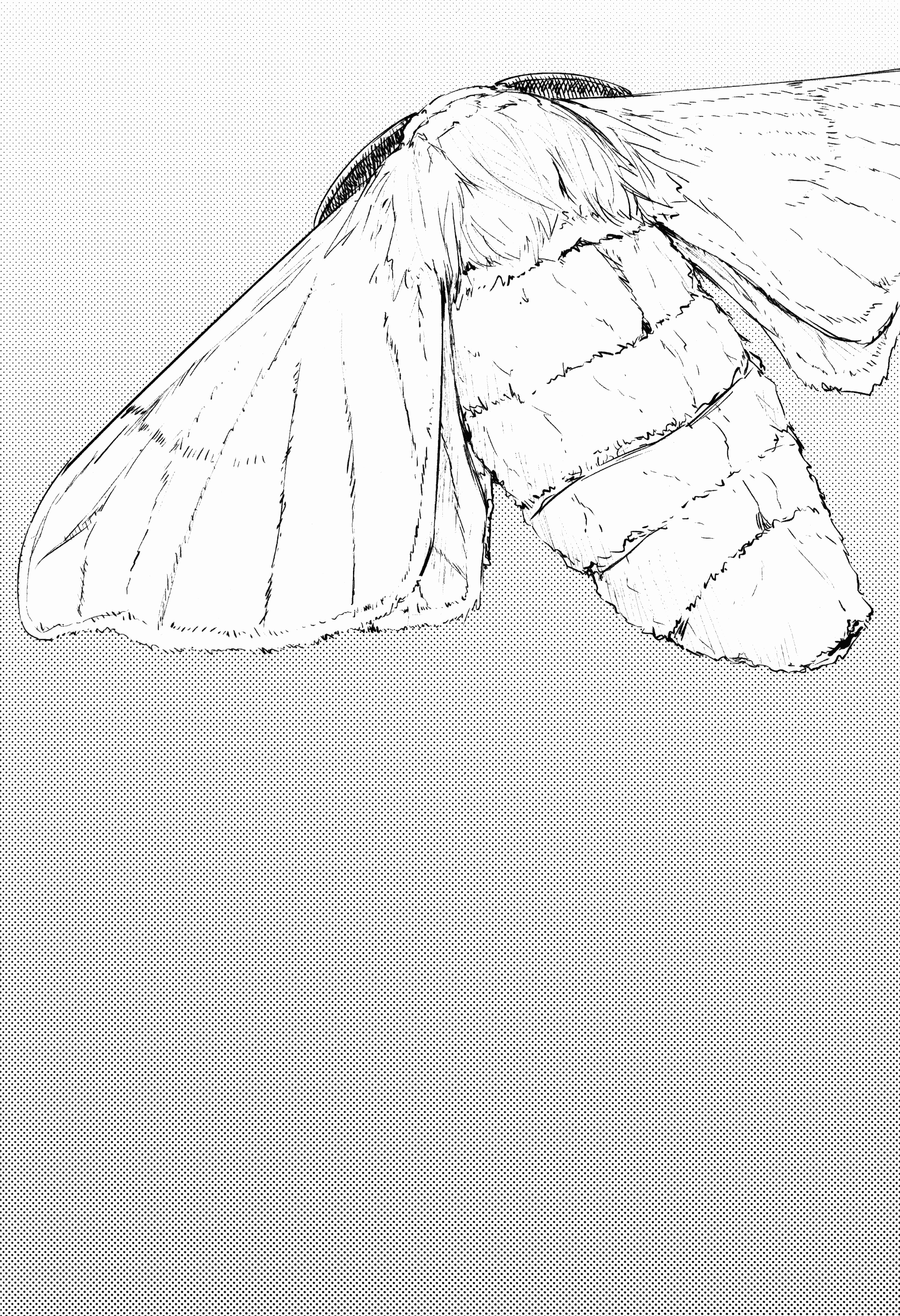 Layers Of White  (Chapter 02)